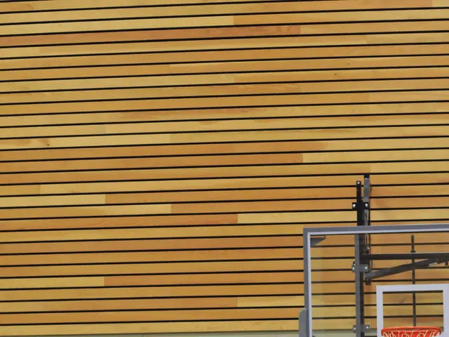 Basketball duo Shaq and Shawn Bradley competing in the BIG3 Playoffs in Dallas